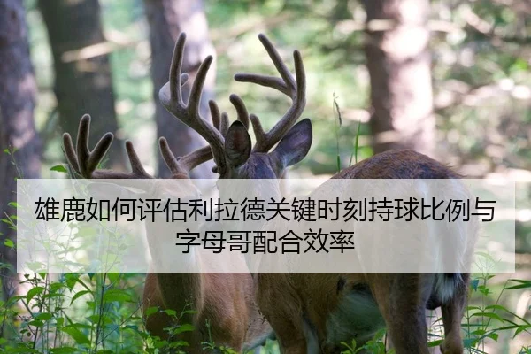 雄鹿如何评估利拉德关键时刻持球比例与字母哥配合效率